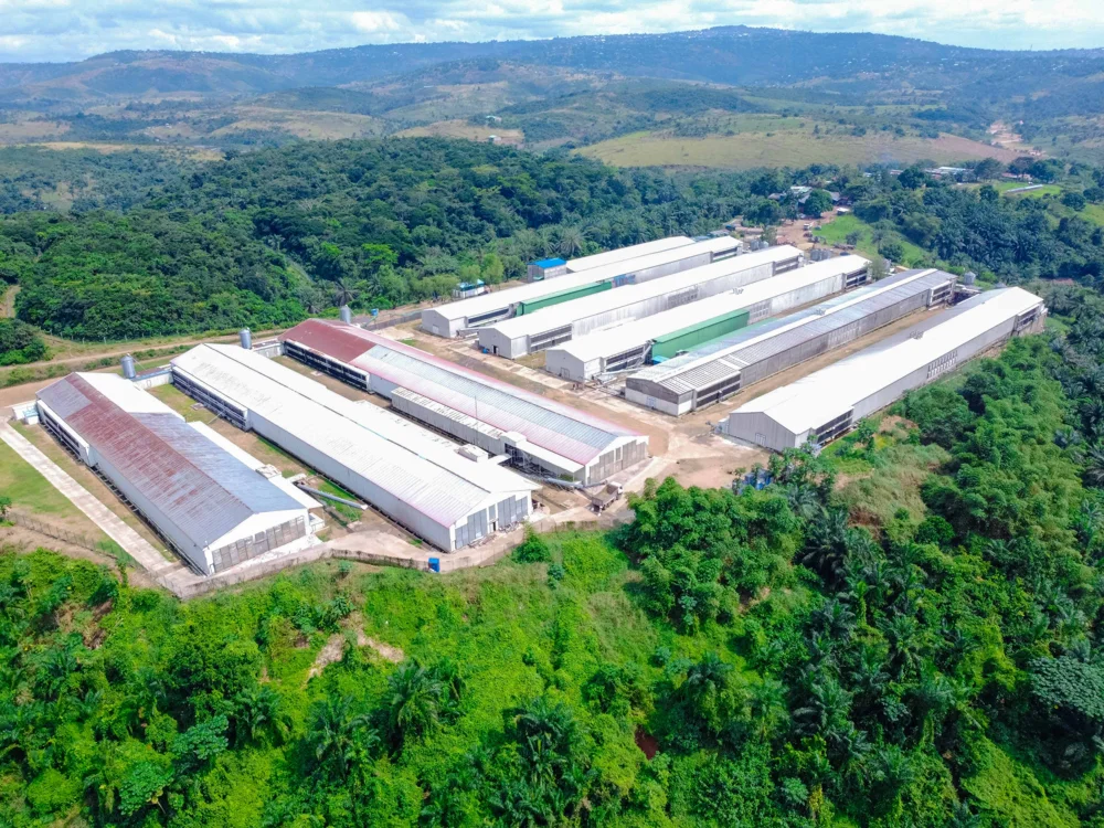 Vue aérienne du site avicole GMK
